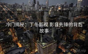 冷门揭秘：丁冬影视 影音先锋的背后故事