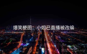爆笑梗图：小妲己直播被改编