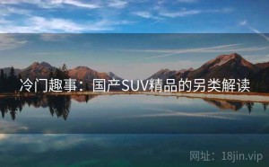 冷门趣事：国产SUV精品的另类解读