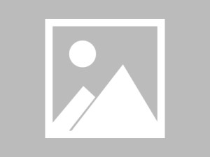 清湾服务页 · 多清晰度自适应说明（镜像合辑）