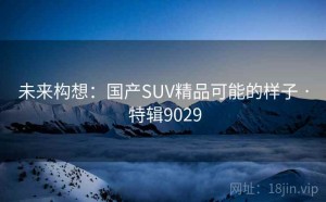 未来构想：国产SUV精品可能的样子 · 特辑9029