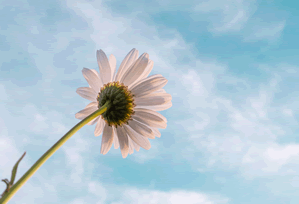 网友爆笑：不见星空成了梗