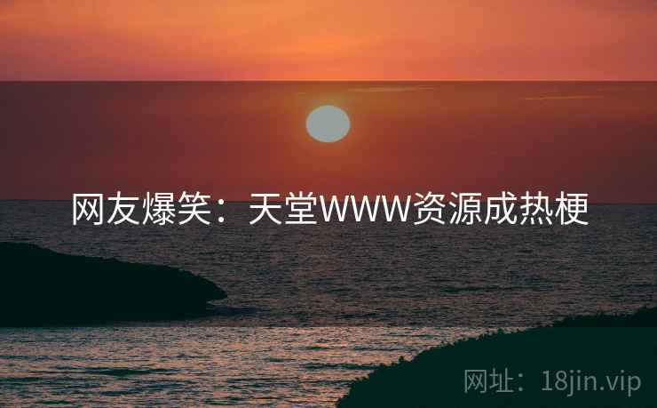 网友爆笑：天堂WWW资源成热梗