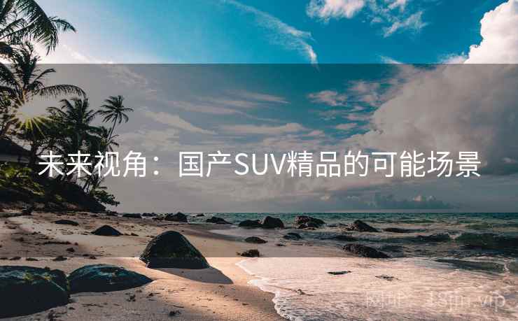 未来视角：国产SUV精品的可能场景