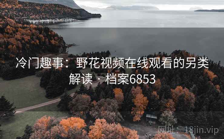冷门趣事：野花视频在线观看的另类解读 · 档案6853