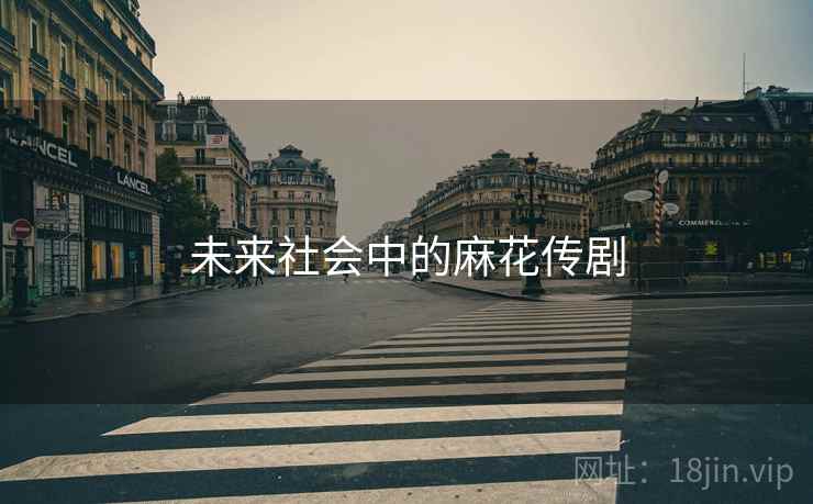 未来社会中的麻花传剧