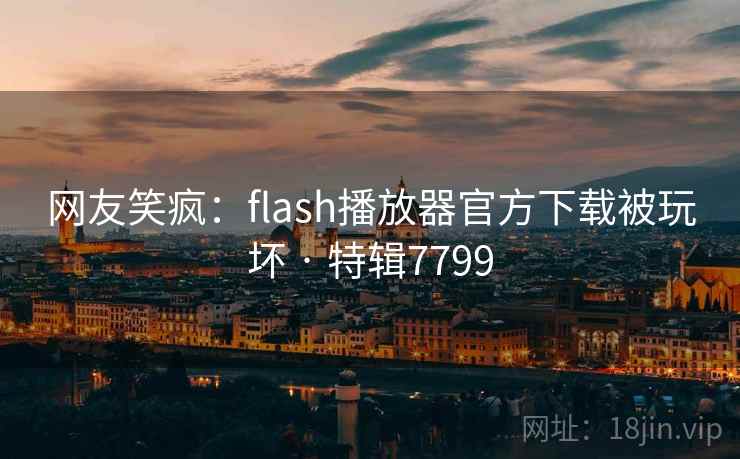 网友笑疯：flash播放器官方下载被玩坏 · 特辑7799