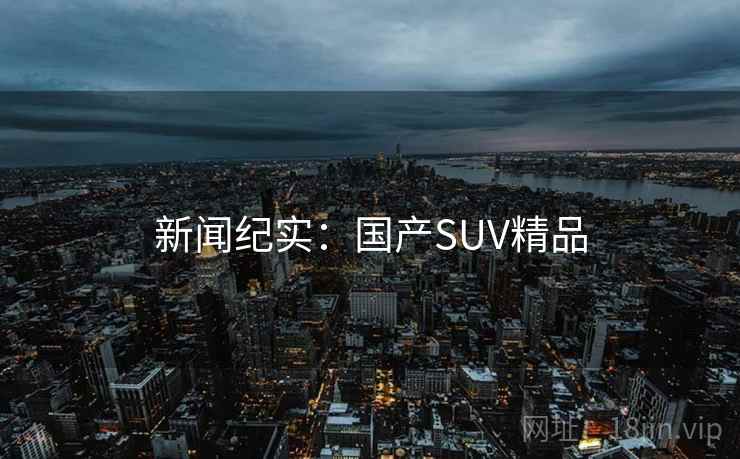 新闻纪实:国产SUV精品 新闻纪实:国产SUV精品